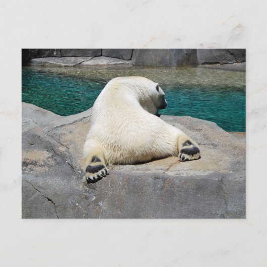 Sunbather Briefkaart (Voorkant)