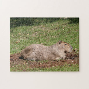 Sunbathing Capybara Legpuzzel