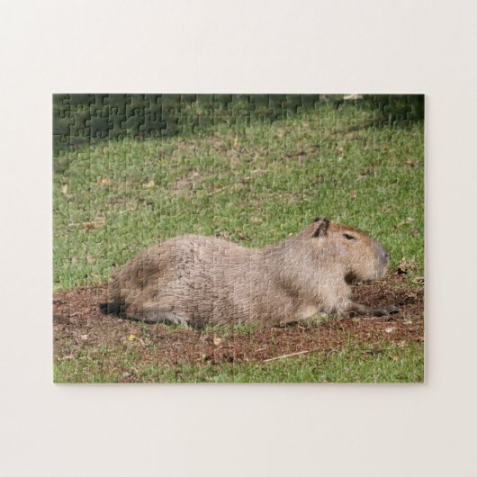 Sunbathing Capybara Legpuzzel (Horizontaal)