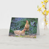Sunbathing Hens Notecard Kaart (Gele Bloem)