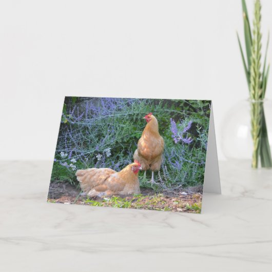 Sunbathing Hens Notecard Kaart (Voorkant)