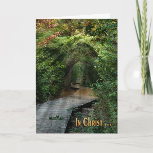 Sunbeams in Bossen Sympathiekaart Kaart (Voorkant)