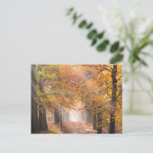 Sunbeams in een herfstbos-briefkaart briefkaart (Staand voorkant)