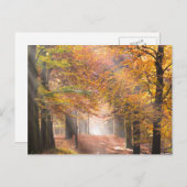 Sunbeams in een herfstbos-briefkaart briefkaart (Voorkant / Achterkant)