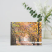 Sunbeams in een herfstbos, Holland bar briefkaart (Staand voorkant)
