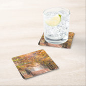 Sunbeams in een herfstbos-onderzetter kartonnen onderzetters (Insitu)