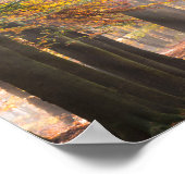 Sunbeams in een herfstbos-poster poster (Hoek)