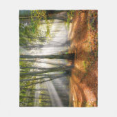 Sunbeams in een slecht beukenbos in de herfst - fleece deken (Voorkant)