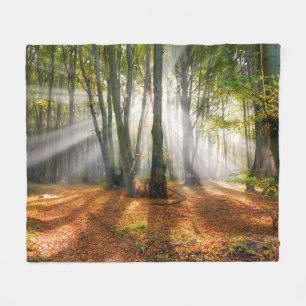 Sunbeams in een slecht beukenbos in de herfst - fleece deken