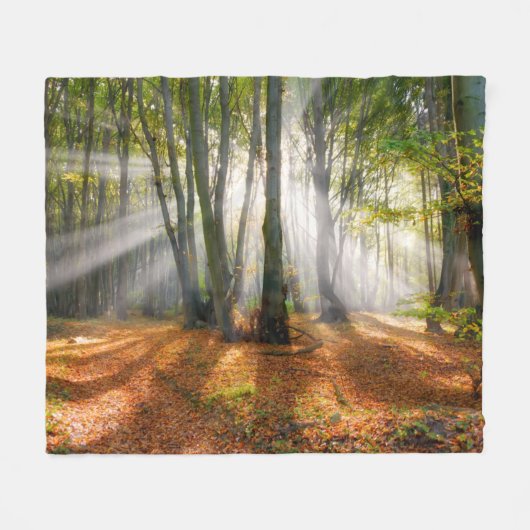Sunbeams in een slecht beukenbos in de herfst - fleece deken (Voorkant (Horizontaal))