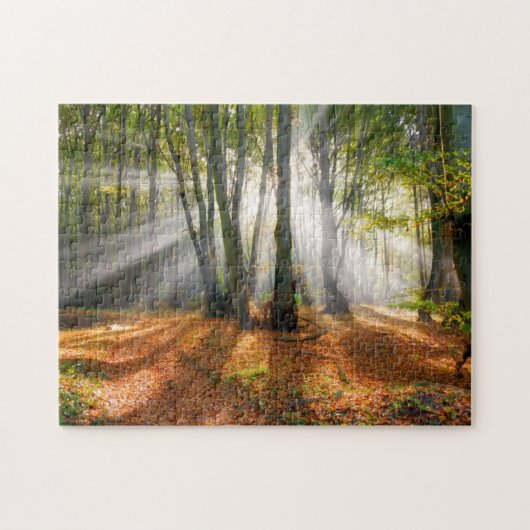 Sunbeams in een slecht beukenbos in de herfst - legpuzzel (Horizontaal)