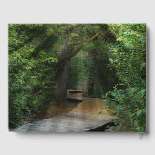 Sunbeams in Woods for Memorial Gastenboek (Achterkant)