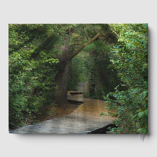 Sunbeams in Woods for Memorial Gastenboek (Achterkant)