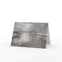 Sunbeams omhelzen de eenden vijver