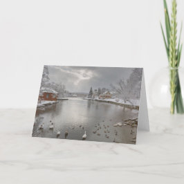 Sunbeams omhelzen de eenden vijver kaart