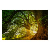 Sunbeams Perfect Poster (Voorkant)