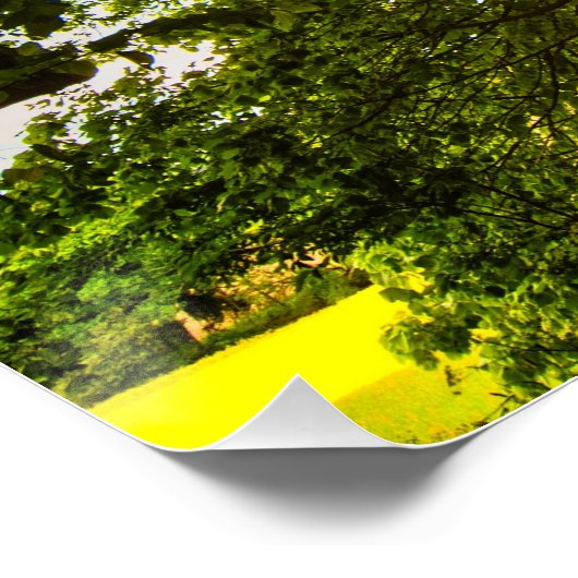 Sunbeams Perfect Poster (Hoek)