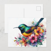 Sunbird Waterverf Art Briefkaart (Voorkant / Achterkant)