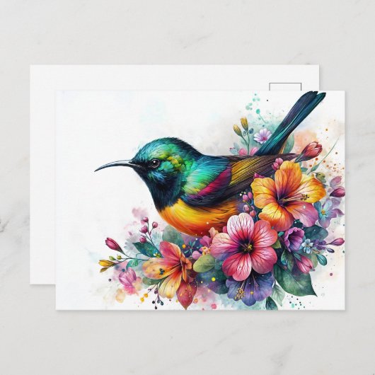 Sunbird Waterverf Art Briefkaart (Voorkant / Achterkant)