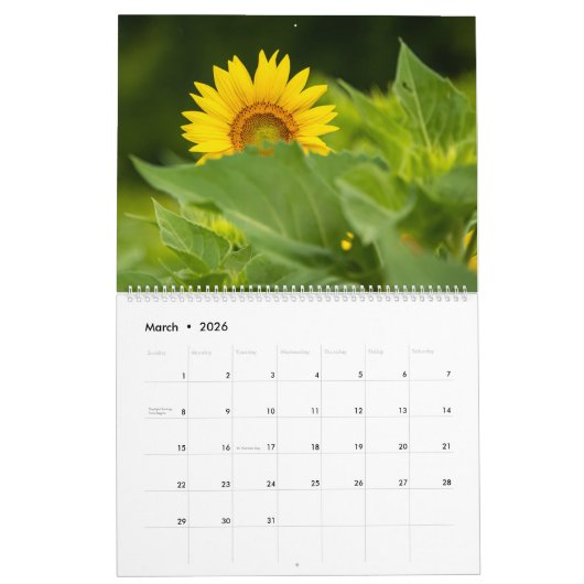Sunbloemen Calendar Kalender (Mar 2026)