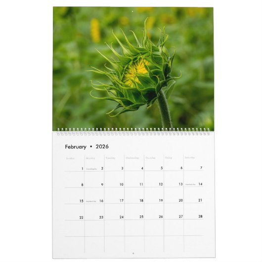 Sunbloemen Calendar Kalender (Feb 2026)