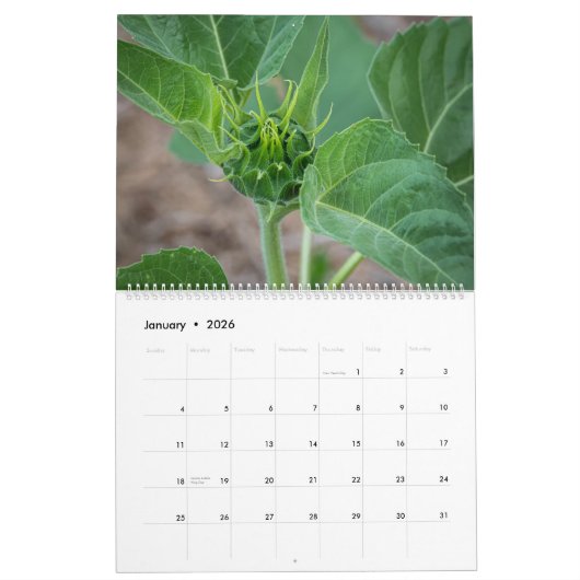 Sunbloemen Calendar Kalender (Jan 2026)