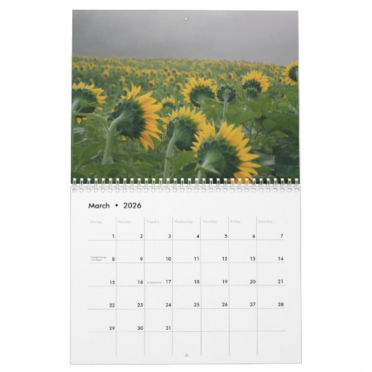 Sunbloemen Calendar Kalender (Mar 2026)