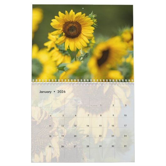 Sunbloemen Calendar Kalender (Jan 2026)