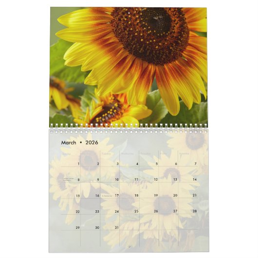 Sunbloemen Calendar Kalender (Mar 2026)