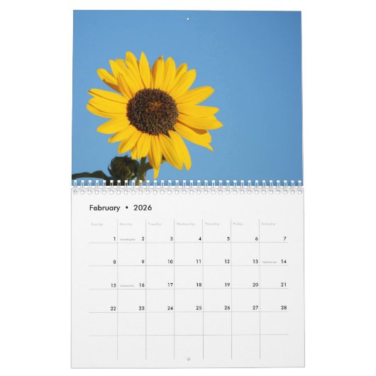 Sunbloemen Calendar Kalender (Feb 2026)