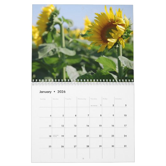 Sunbloemen Calendar Kalender (Jan 2026)