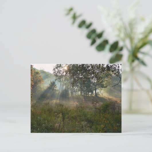 sunburst 07 briefkaart (Staand voorkant)