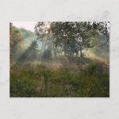 sunburst 07 briefkaart (Voorkant)