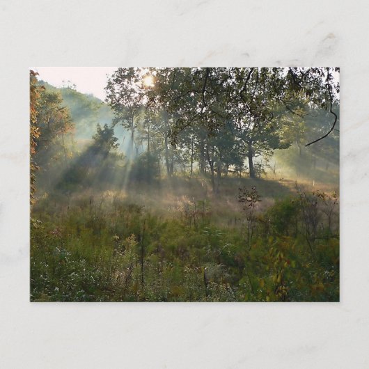 sunburst 07 briefkaart (Voorkant)