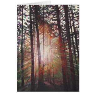 Sunburst 2010