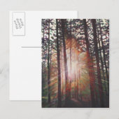 Sunburst 2010 briefkaart (Voorkant / Achterkant)