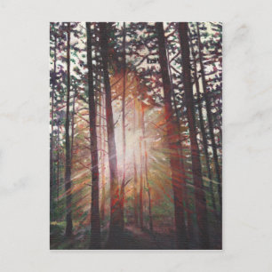 Sunburst 2010 briefkaart