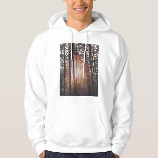 Sunburst 2010 hoodie (Voorkant)