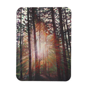 Sunburst 2010 magneet