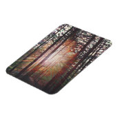 Sunburst 2010 magneet (Linkerzijde)