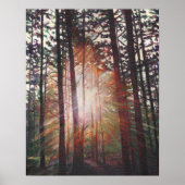 Sunburst 2010 poster (Voorkant)