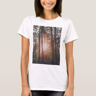 Sunburst 2010 t-shirt
