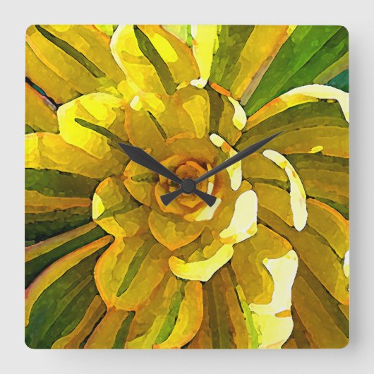 Sunburst Aeonium Succulent Square by Amy Vangsgard Vierkante Klok (Voorkant)