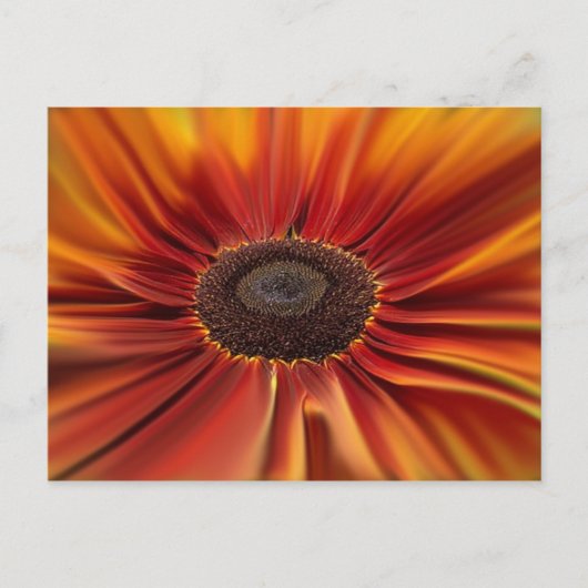 Sunburst Briefkaart (Voorkant)