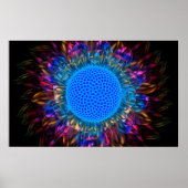 Sunburst Daisy (omgekeerd) Poster (Voorkant)