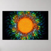 Sunburst Daisy Poster (Voorkant)