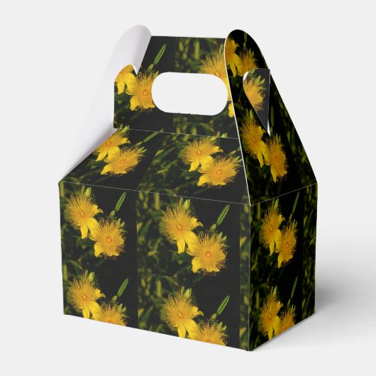 Sunburst Flowers Party Favor Box Bedankdoosjes (Voorkant Zijde)