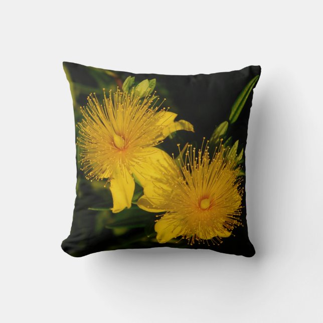 Sunburst Flowers Pillow Kussen (Voorkant)