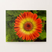 Sunburst Gerbera | Alzheimer’s Tribute Legpuzzel (Horizontaal)