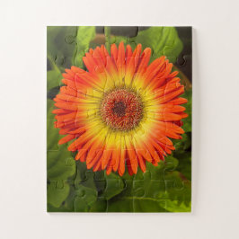 Sunburst Gerbera | Huldiging aan Alzheimer Legpuzzel